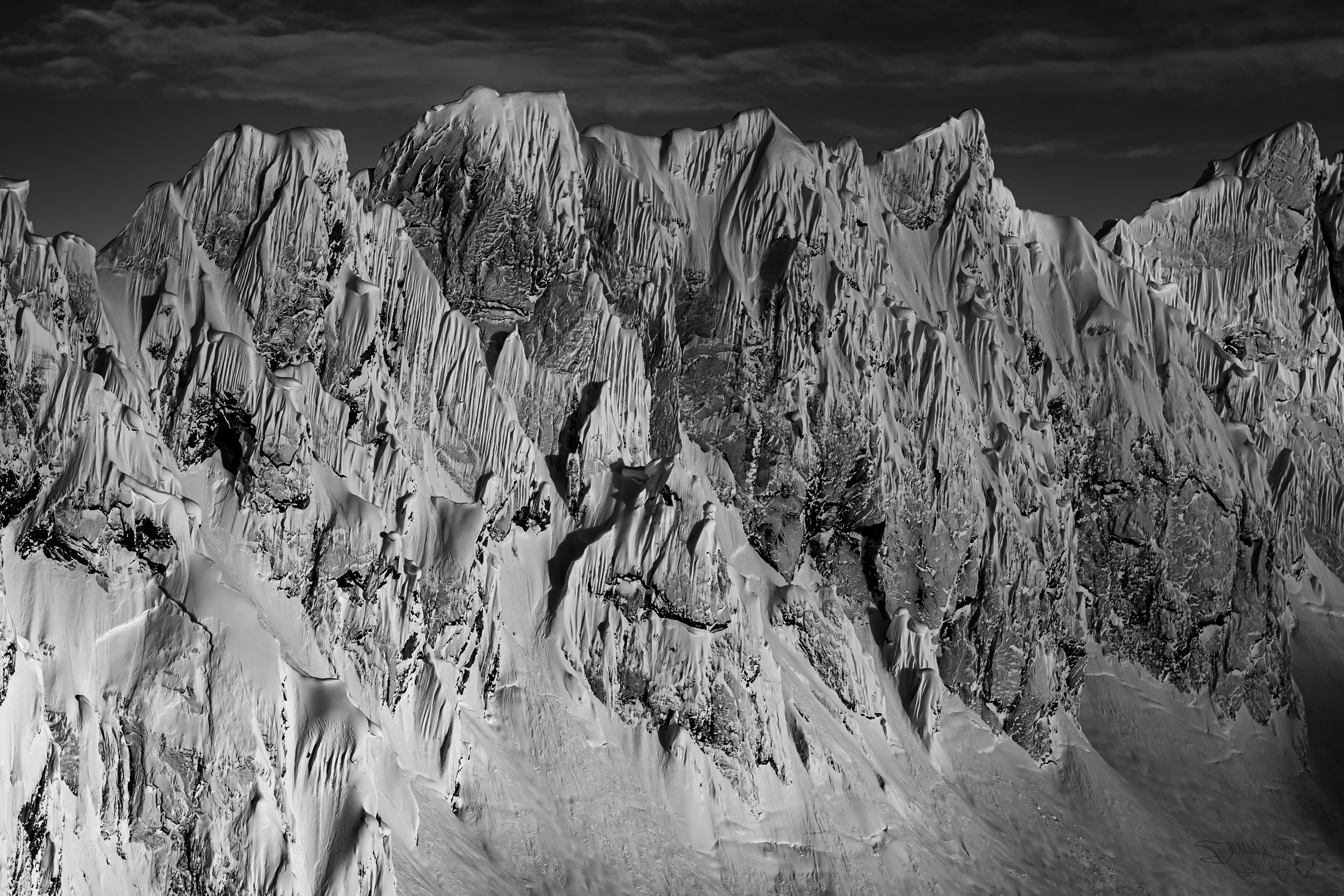 Spine Lines