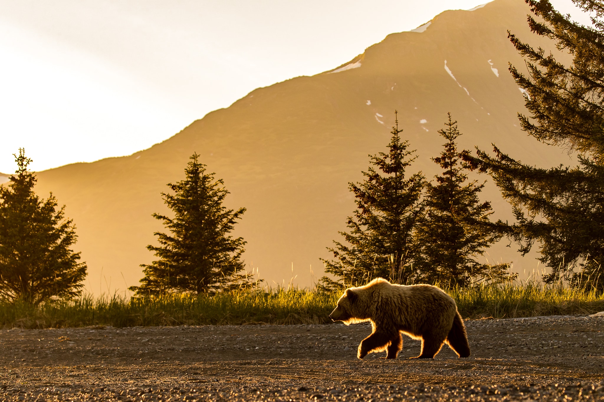 Sunset Stroll